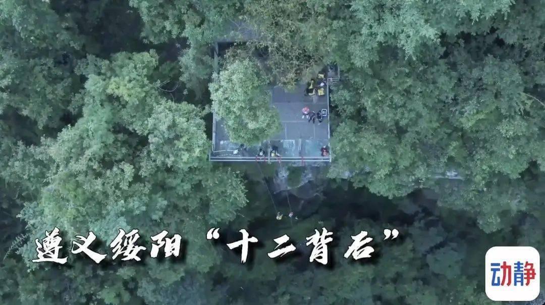 手指为何频繁酸痛、难以伸直?关于腱鞘炎的真相,你知道多少?!